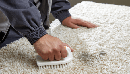 Professional Rug Cleaning Altona